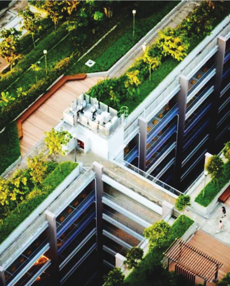 Sustentabilidade e Eficiência Energética: O Futuro das Construções Verdes